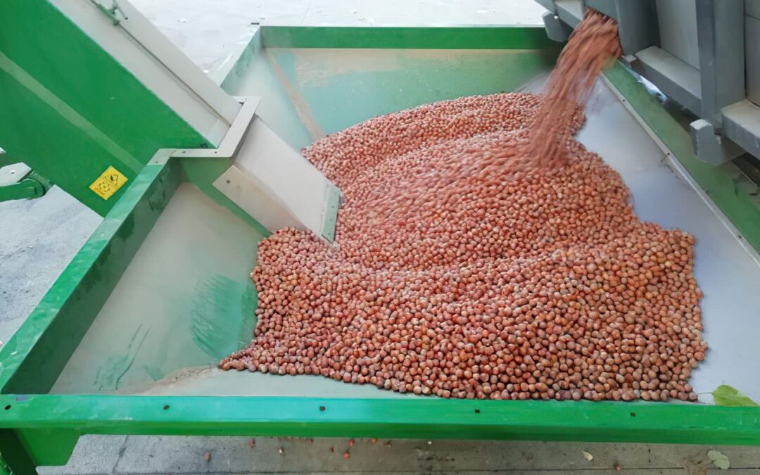 COMUNICAZIONE DATE DOPPIA RACCOLTA