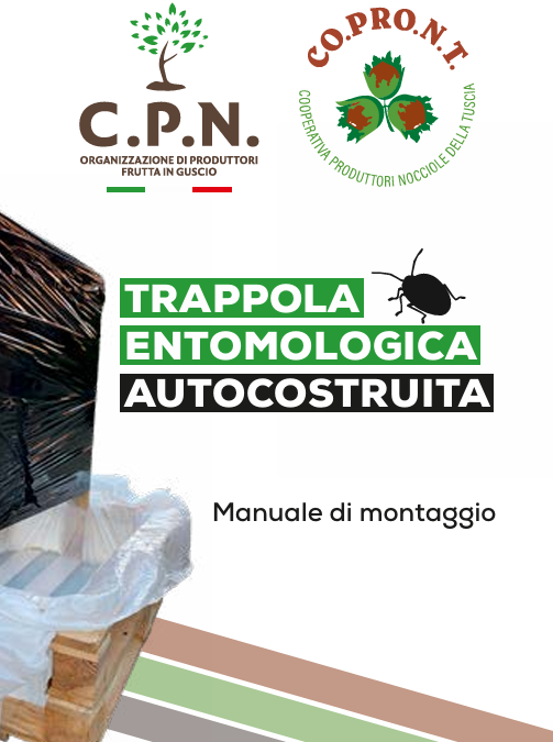 MONITORAGGIO CIMICE ASIATICA SU NOCCIOLO – VADEMECUM PER LA COSTRUZIONE DELLA TRAPPOLA